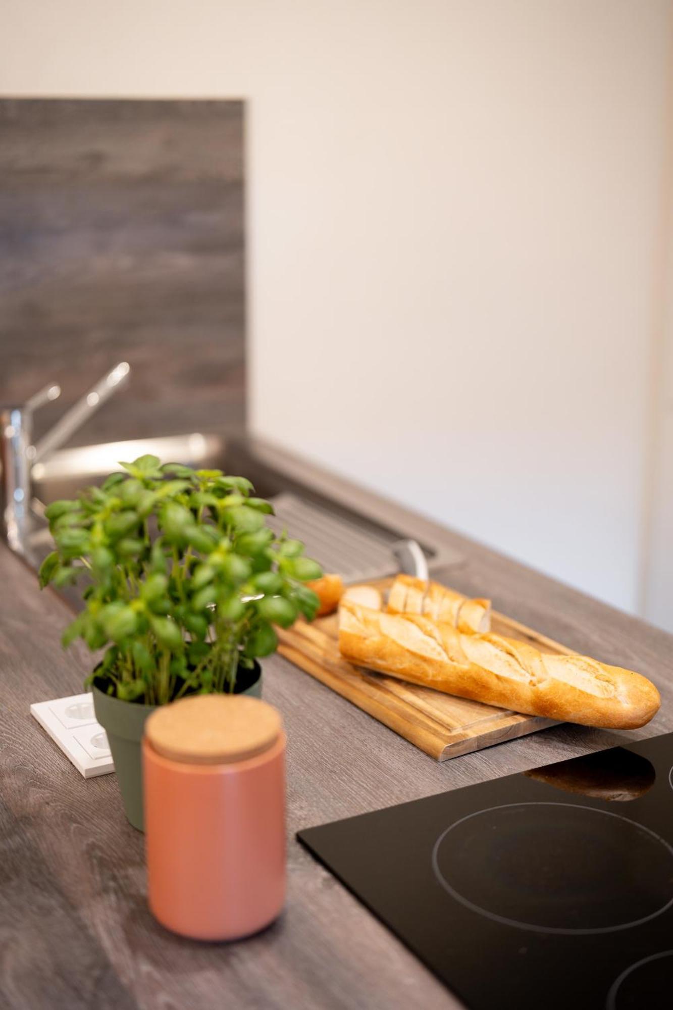 Neu-luxus Apartment-zentral In Altstadt-65-80qm
